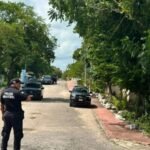 MOSCAS ESTÉRILES CONTRA EL GUSANO BARRENADOR